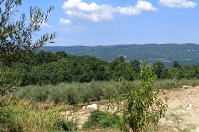 Building land in Vižinada, Istria