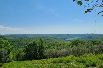 Građevinska parcela sa predivnim pogledom i projektom, Krasica, Buje